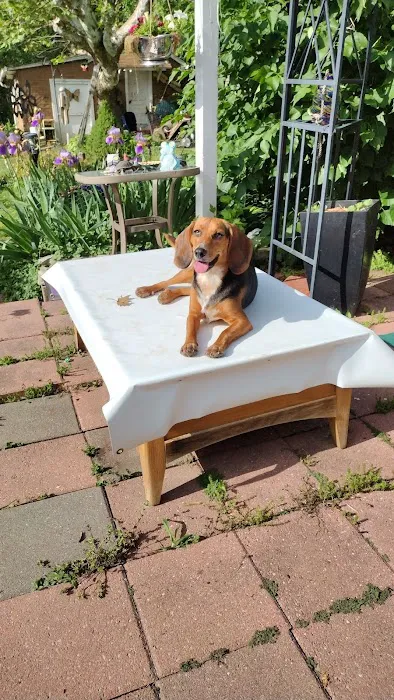 Banfield Pet Hospital Picture 1