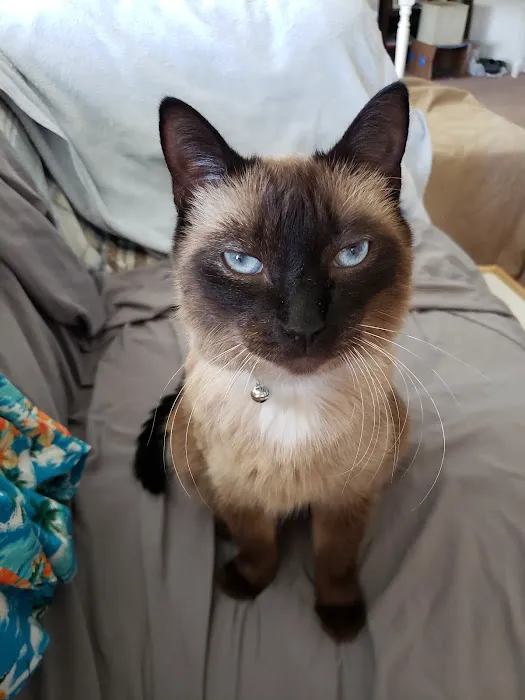 Banfield Pet Hospital Picture 3