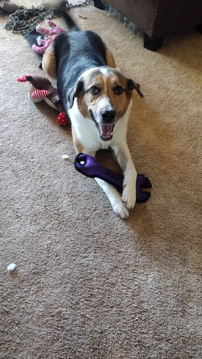 Banfield Pet Hospital Picture 4