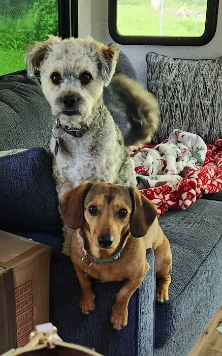 Banfield Pet Hospital Picture 5