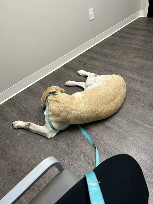 Heartland Veterinary Hospital P.C. Picture 2