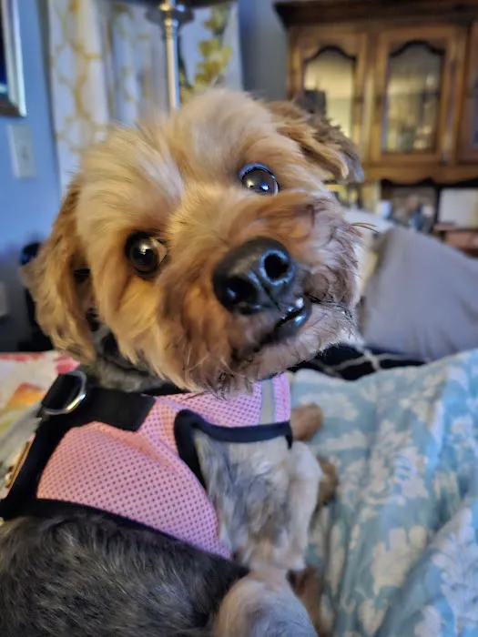 Olsen Veterinary Clinic Picture 2