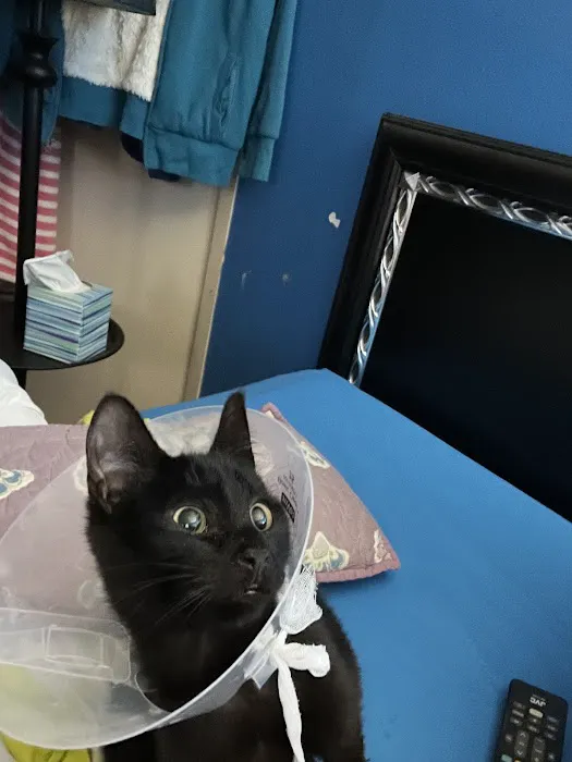 Olsen Veterinary Clinic Picture 7