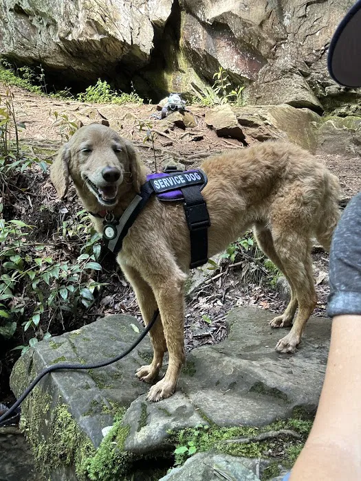 Olsen Veterinary Clinic Picture 9