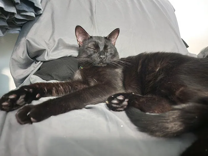 Olsen Veterinary Clinic Picture 5