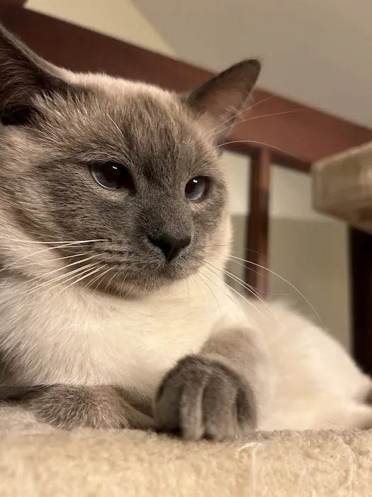 Olsen Veterinary Clinic Picture 6