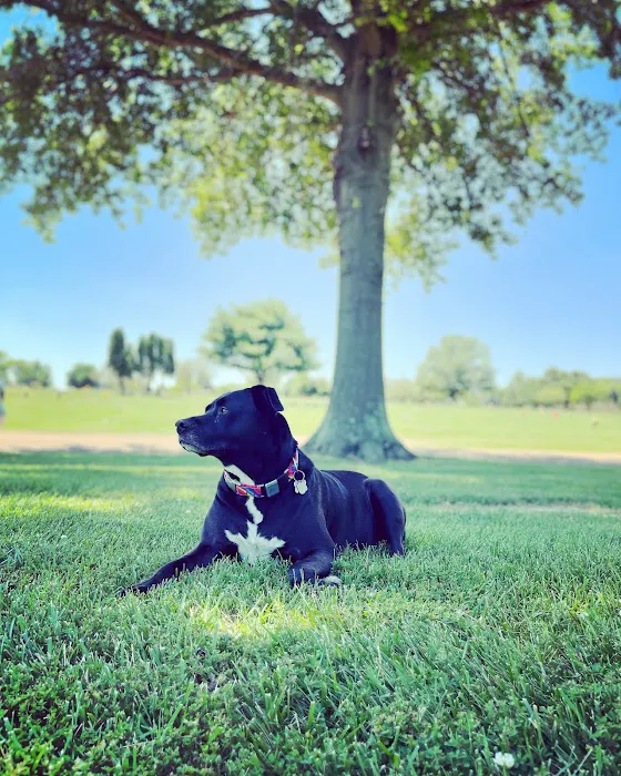 Troy Veterinary Clinic Picture 2