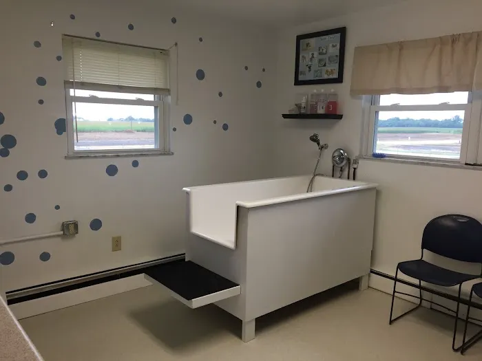 Hawthorne Animal Hospital- Troy location Picture 4