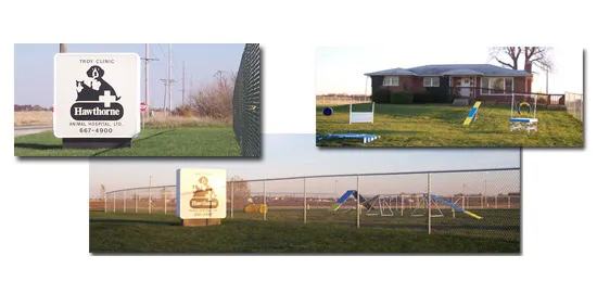 Hawthorne Animal Hospital- Troy location Picture 5