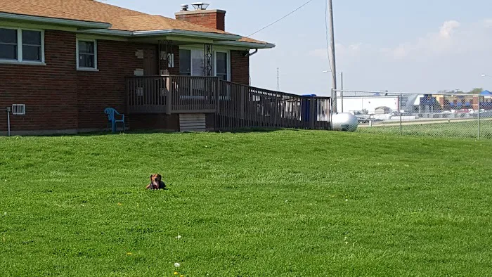 Hawthorne Animal Hospital- Troy location Picture 1