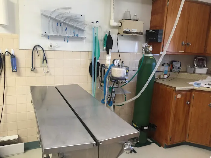 Hawthorne Animal Hospital- Troy location Picture 10