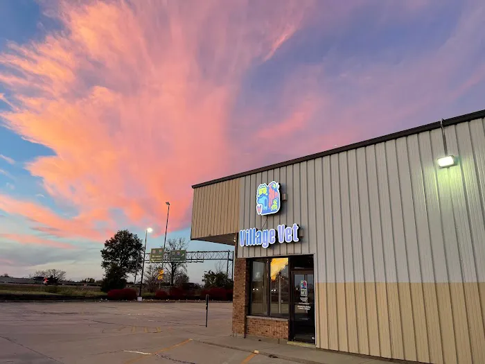 Village Veterinary Hospital Picture 3