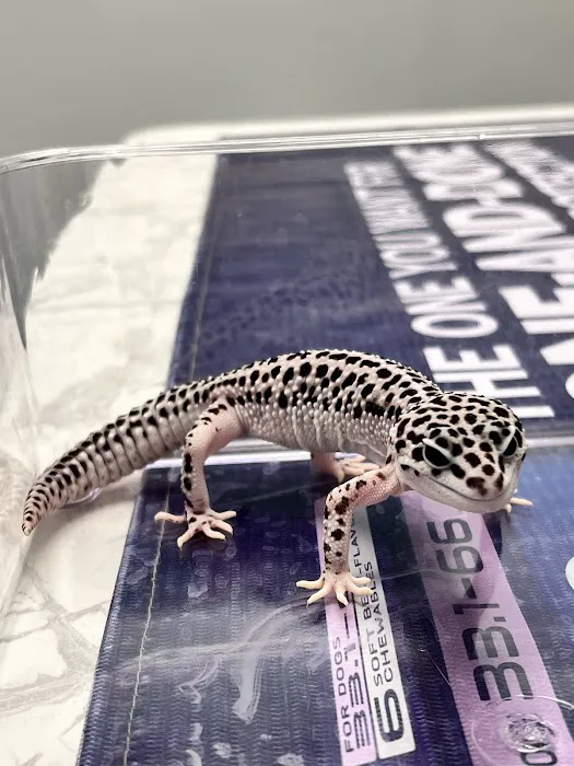 Village Veterinary Hospital Picture 4