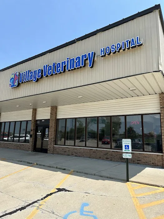 Village Veterinary Hospital Picture 1