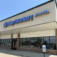 Village Veterinary Hospital ico