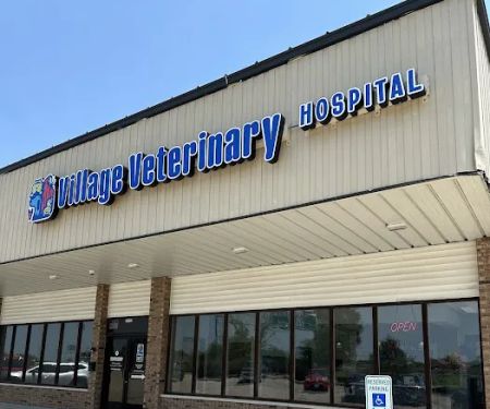 Village Veterinary Hospital