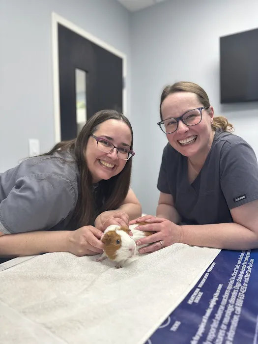 Village Veterinary Hospital Picture 7