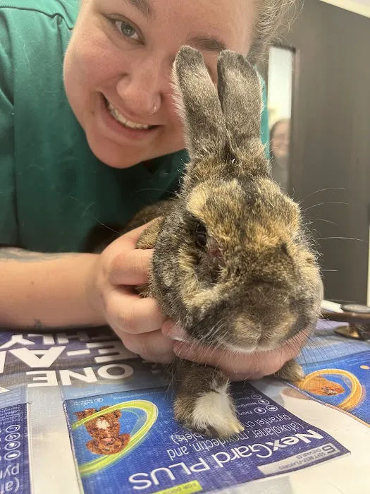 Village Veterinary Hospital Picture 8