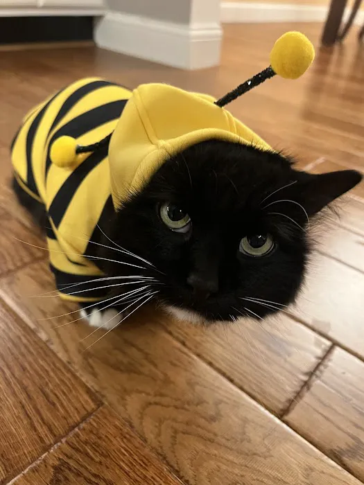 Hillside Pet Clinic Picture 5