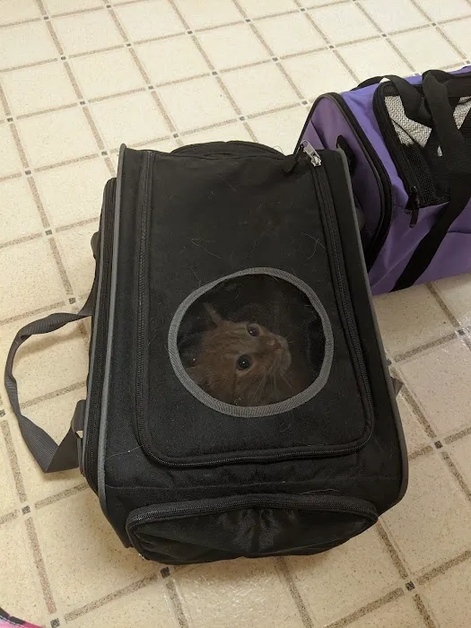 Hillside Pet Clinic Picture 6