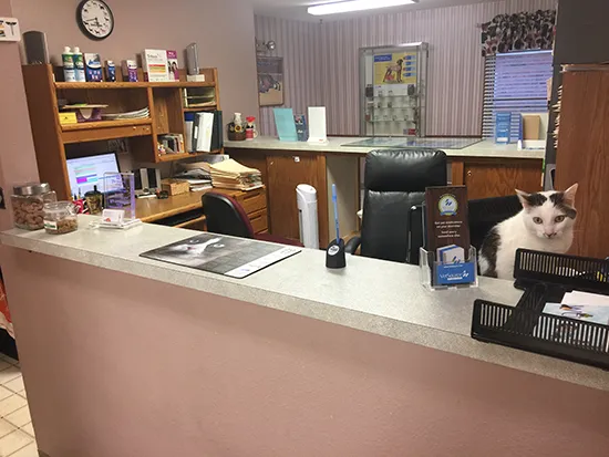 Hillside Pet Clinic Picture 4