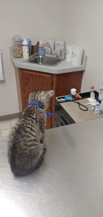 Hillside Pet Clinic Picture 9