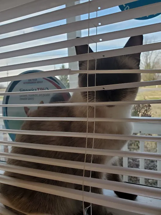 Creekwood Animal Hospital Picture 2