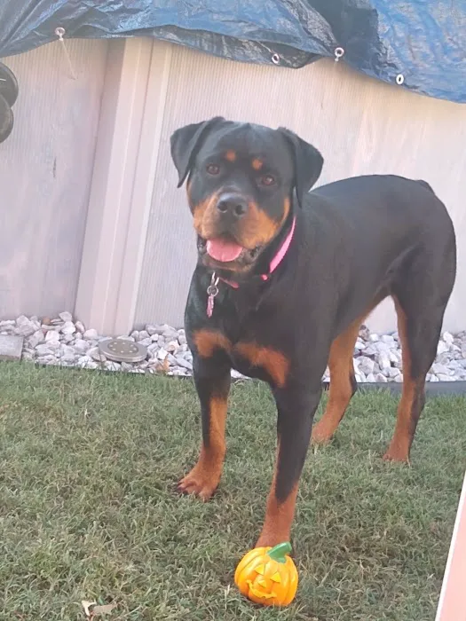 Creekwood Animal Hospital Picture 5