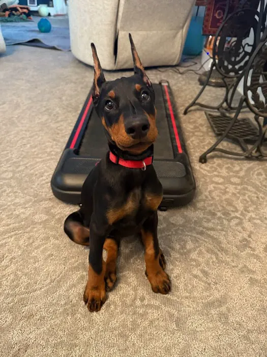 Creekwood Animal Hospital Picture 3