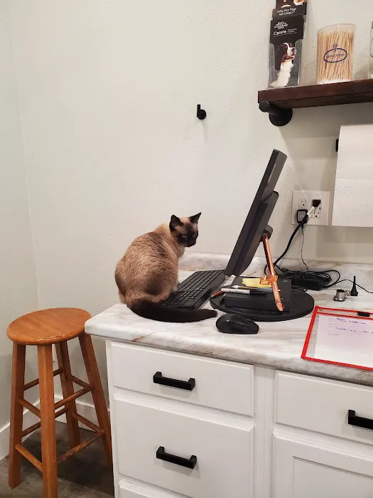 Creekwood Animal Hospital Picture 6