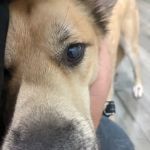 Creekwood Animal Hospital