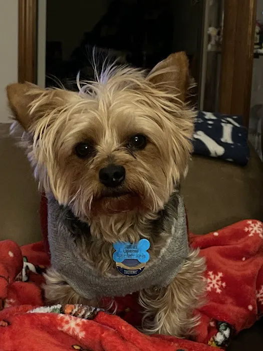 Northgate Small Animal Hospital Picture 3