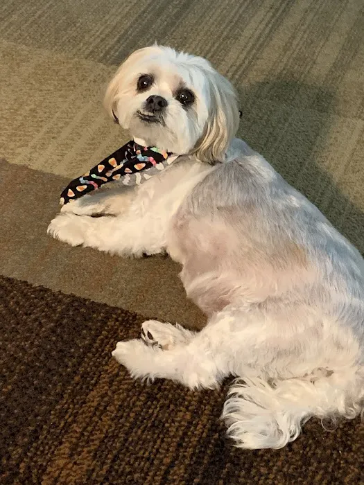 Northgate Small Animal Hospital Picture 4