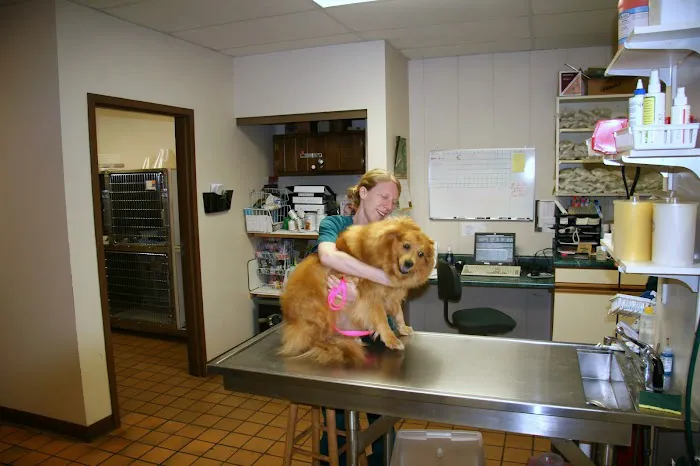 Northgate Small Animal Hospital Picture 2