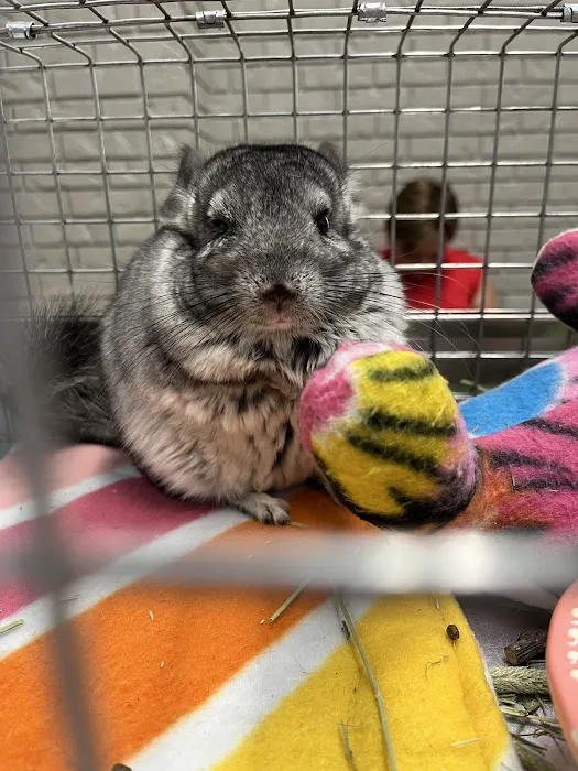 Northgate Small Animal Hospital Picture 5