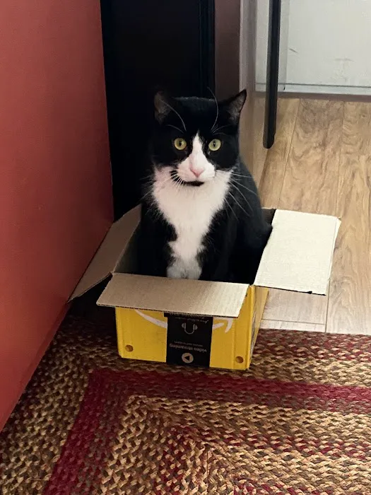 Northgate Small Animal Hospital Picture 6