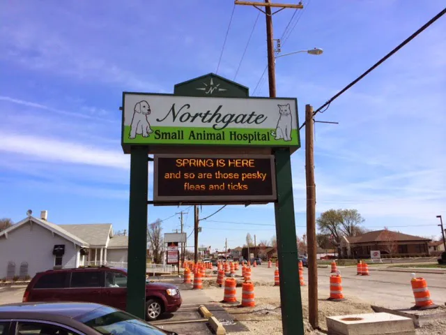 Northgate Small Animal Hospital Picture 7