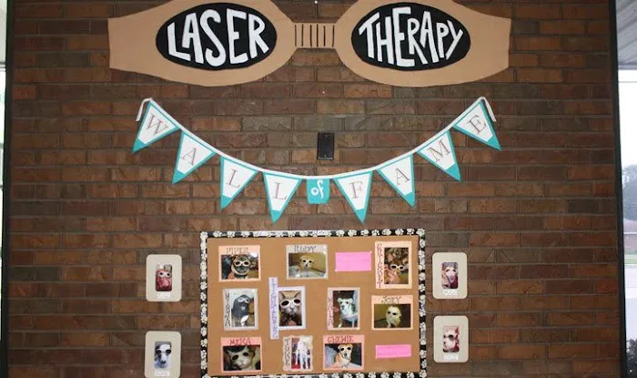 Northgate Small Animal Hospital Picture 8