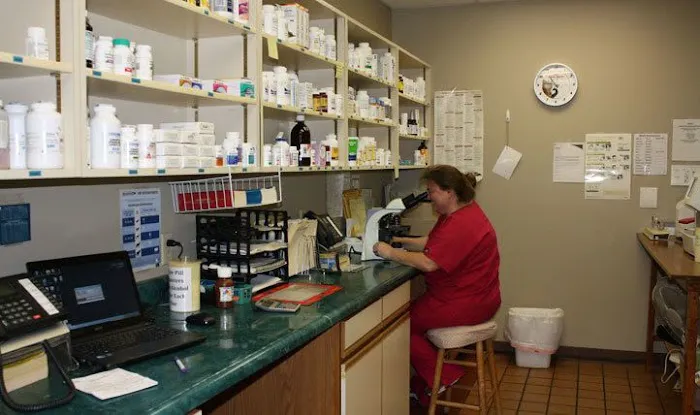 Northgate Small Animal Hospital Picture 10