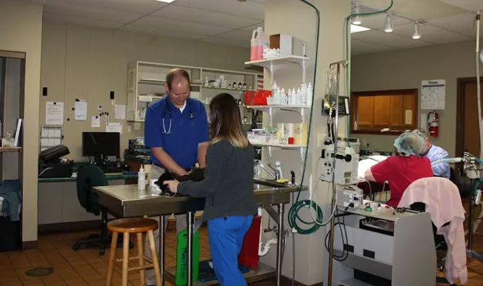 Northgate Small Animal Hospital Picture 9