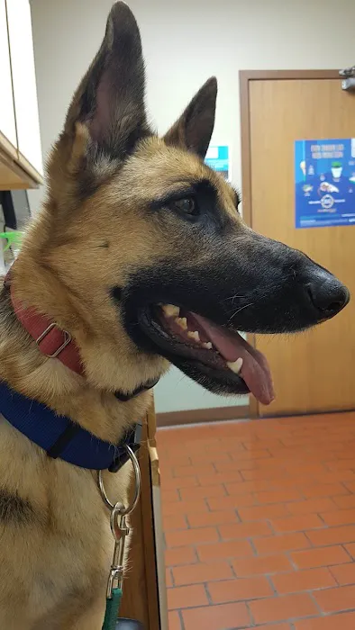 Northgate Small Animal Hospital: Edgar Amy DVM Picture 3