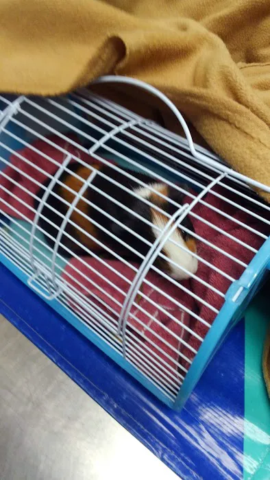 Northgate Small Animal Hospital: Edgar Amy DVM Picture 4