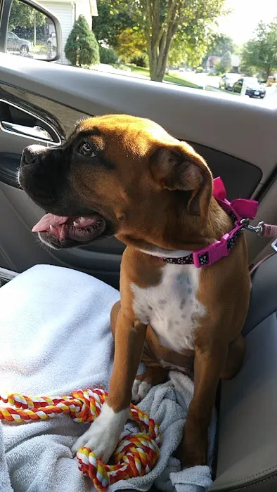 Northgate Small Animal Hospital: Edgar Amy DVM Picture 6