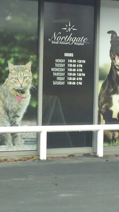 Northgate Small Animal Hospital: Edgar Amy DVM Picture 5