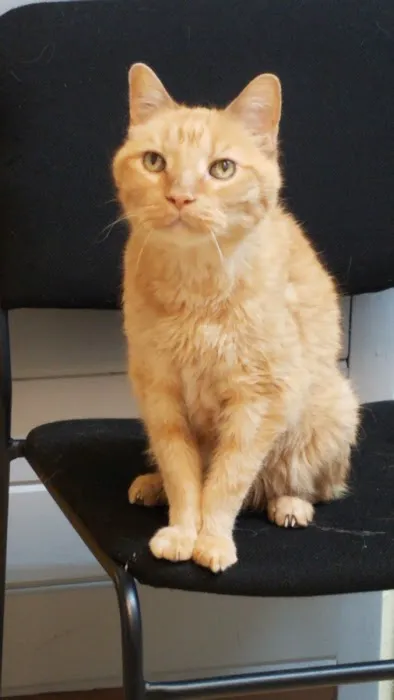 Animal Care Center Picture 2