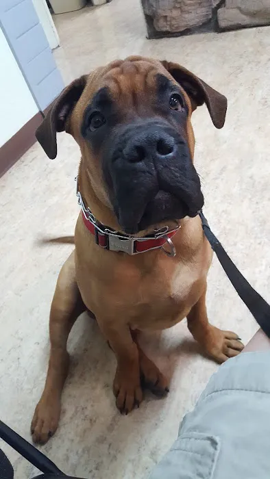 Animal Care Center Picture 3