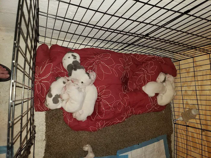 Animal Care Center Picture 1