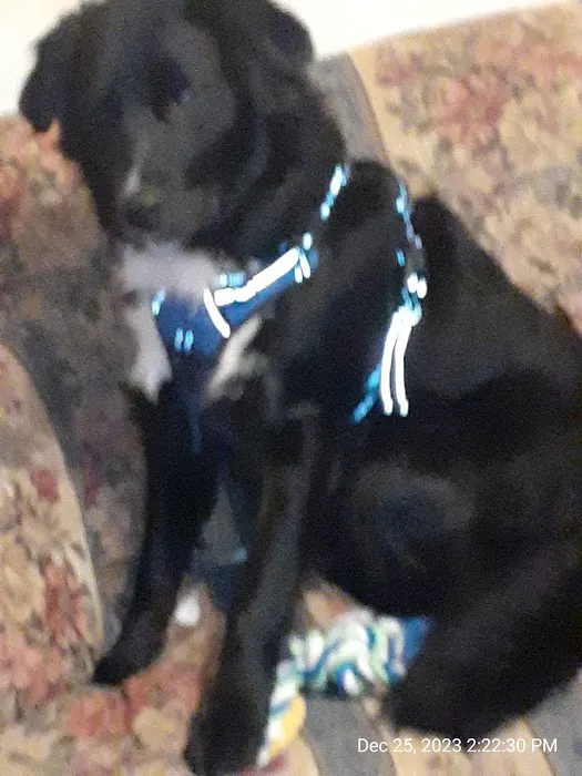 Animal Care Center Picture 5