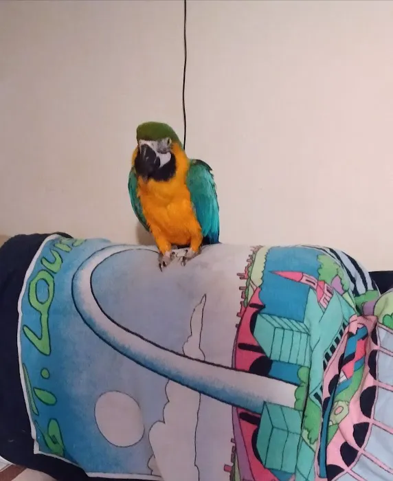 Animal Care Center Picture 4