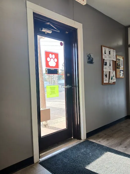 Pawpatch Animal Hospital Picture 8